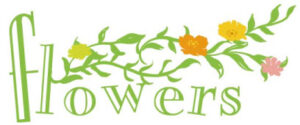 jfn flowers logo