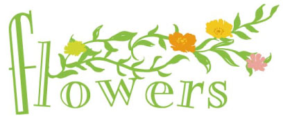 jfn flowers logo 